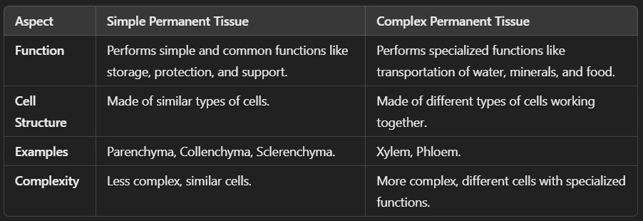 Difference Between Simple and Complex Permanent Tissue (Plant)